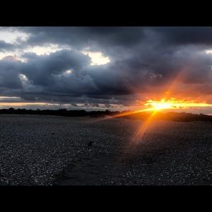 Meet your Posher, Molly